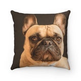 Soft BullDog Polyester Square Pillow :